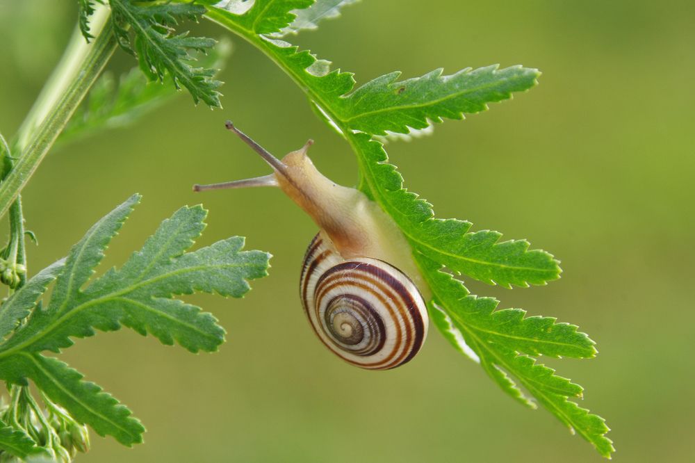 Photograph by Елена Щитова