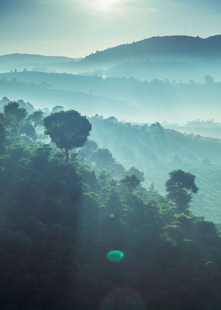 Photograph by Dao Duc