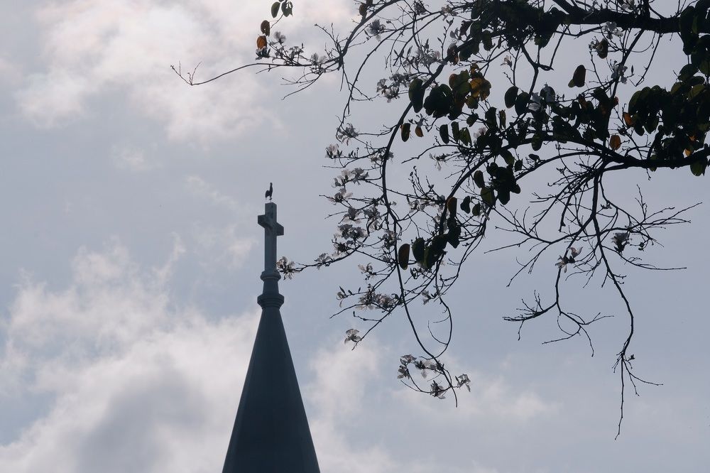 "Reaching for the Heavens"