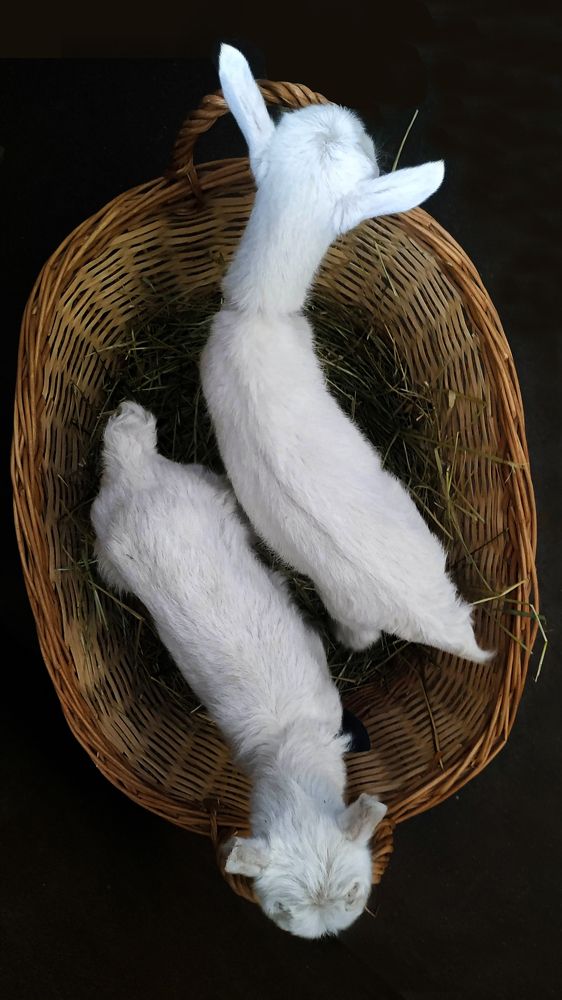 Photograph by Наталия Ковалева