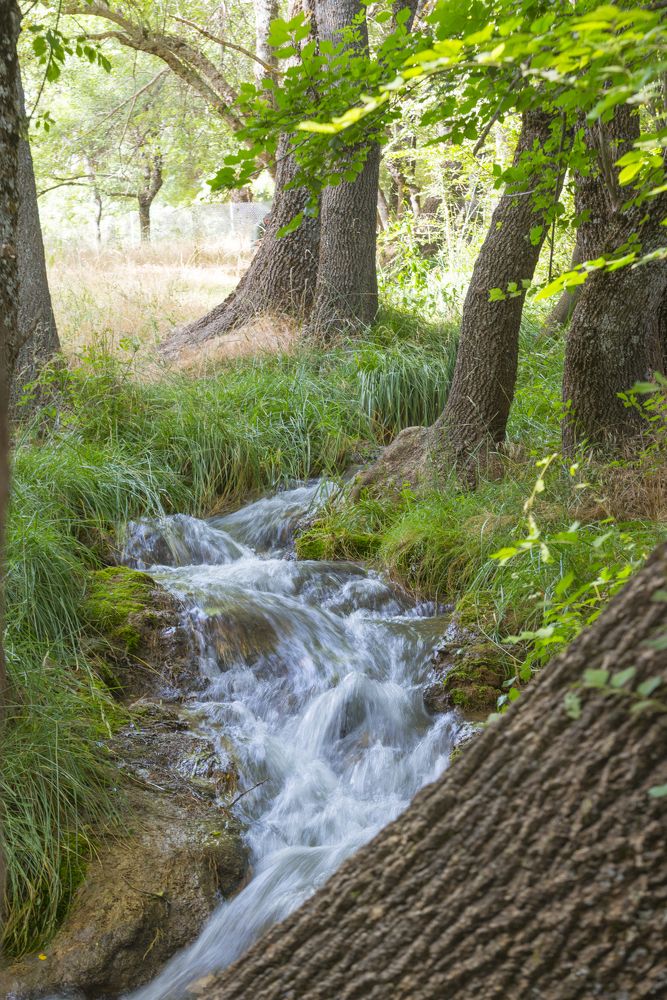 Photograph by Youssef Rahmaoui