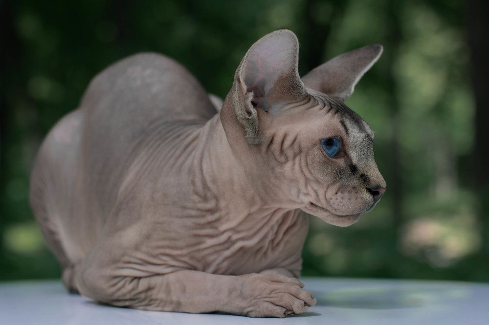 Photograph by Ксения Илюшина