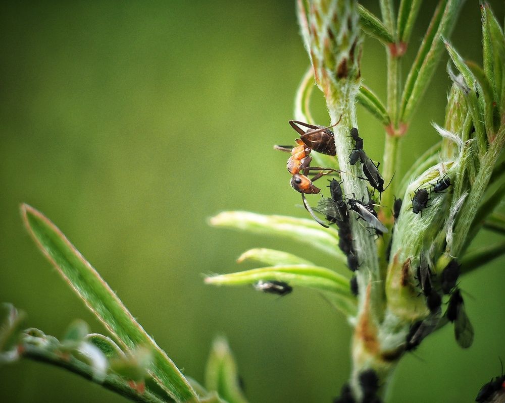 Photograph by ALEKSEI BABANIN