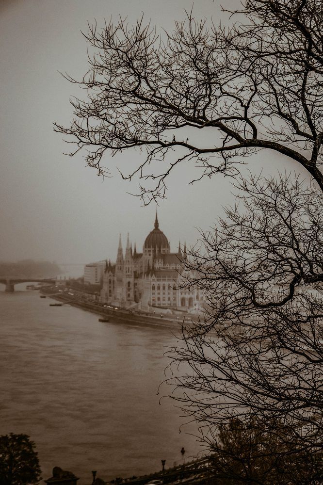 Photograph by Наталия Ковалева