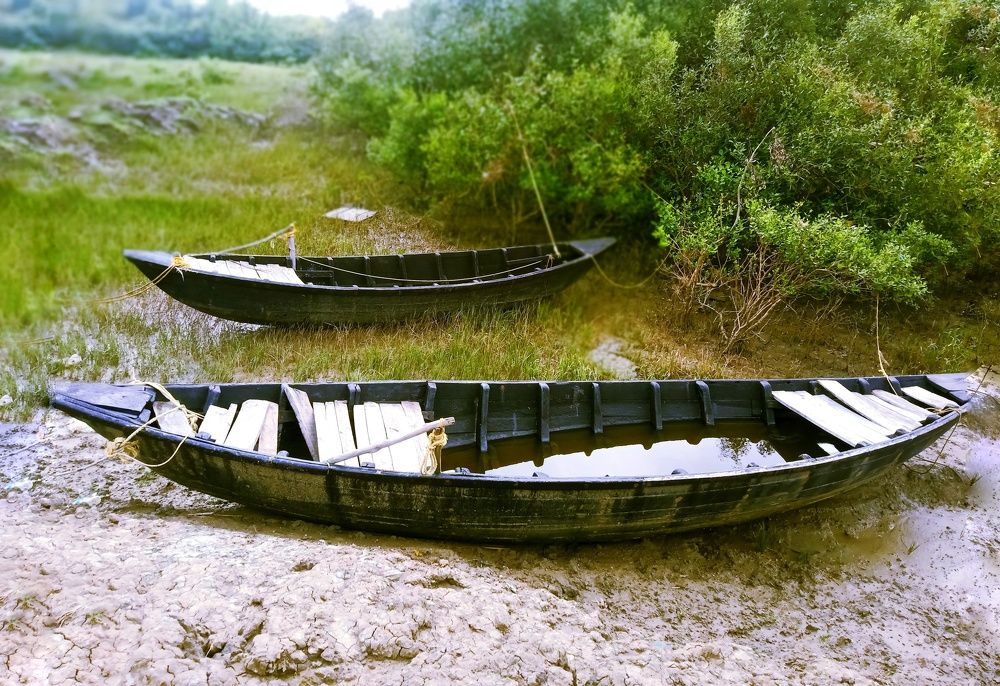 Photograph by Rathin Roy