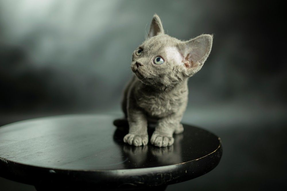 Photograph by Vasily Baranov