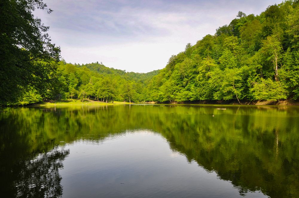 Photograph by ahmad hamzeh