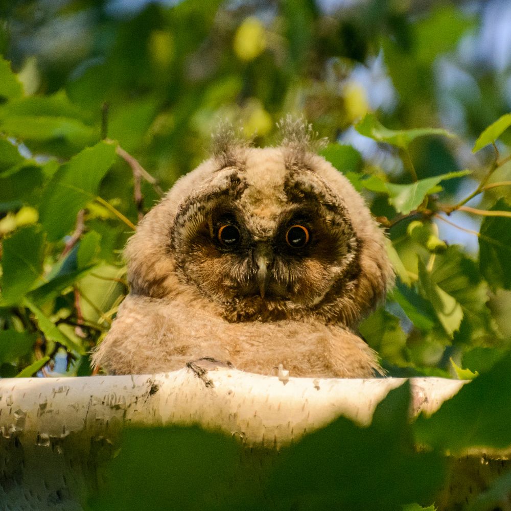 Photograph by Анастасия Попельская