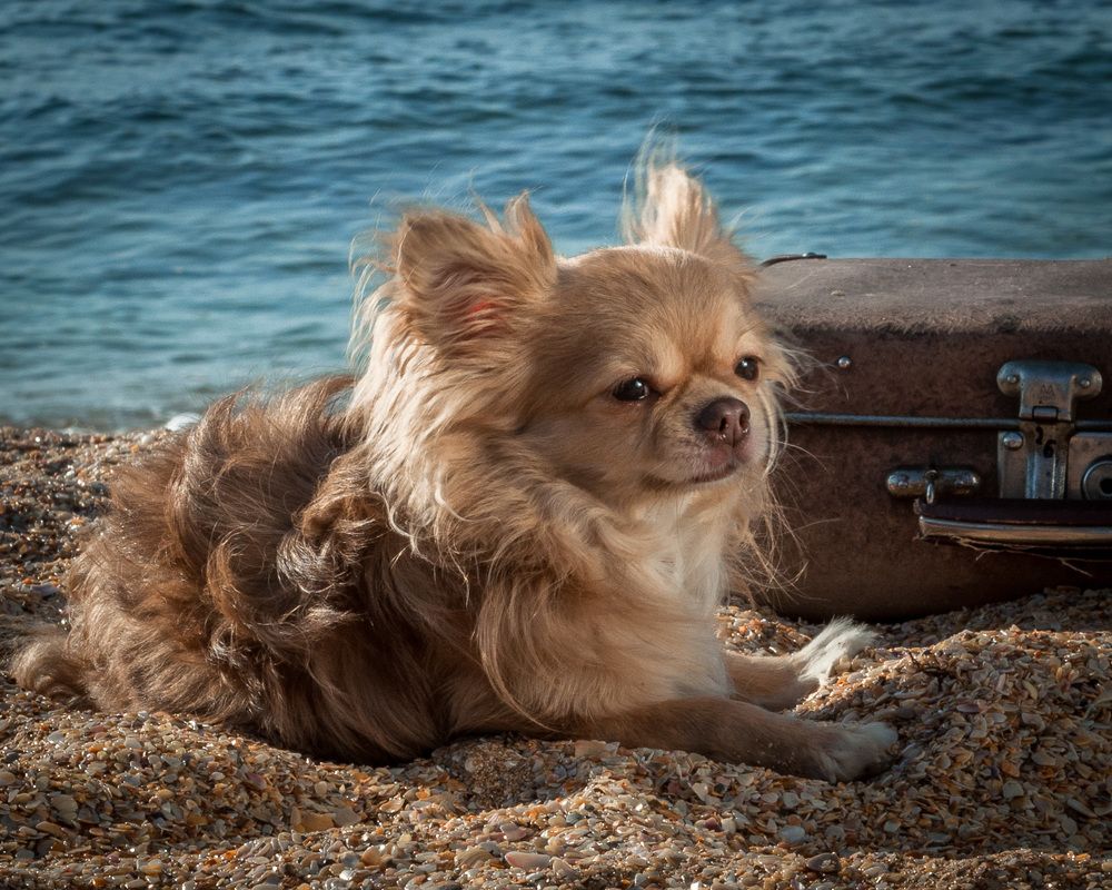 Photograph by Андрей Копылов