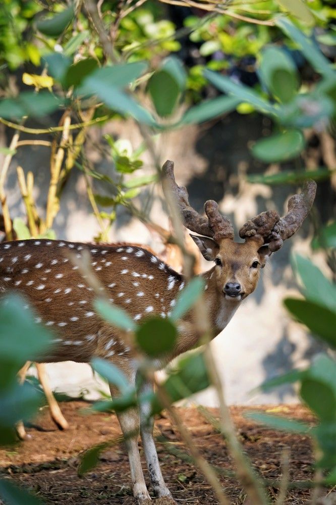 Photograph by Yustiawan