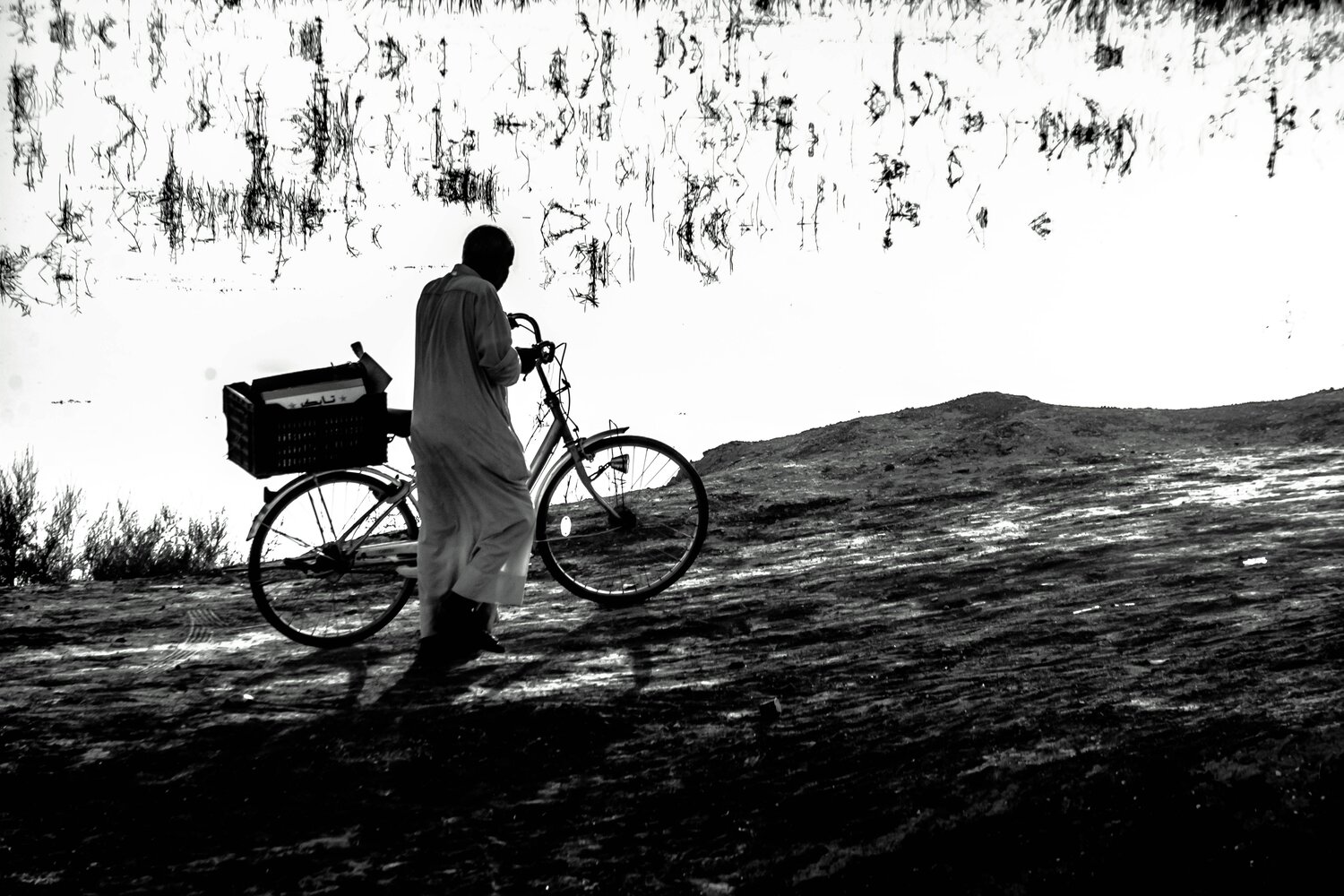 Photo #6204228