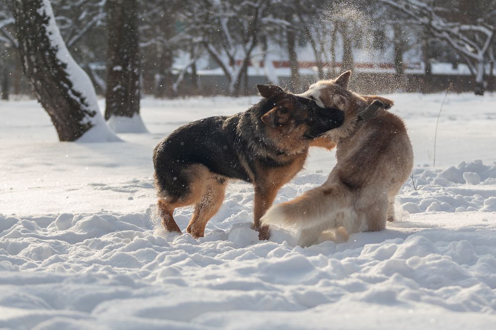 Photograph by Любовь Головина