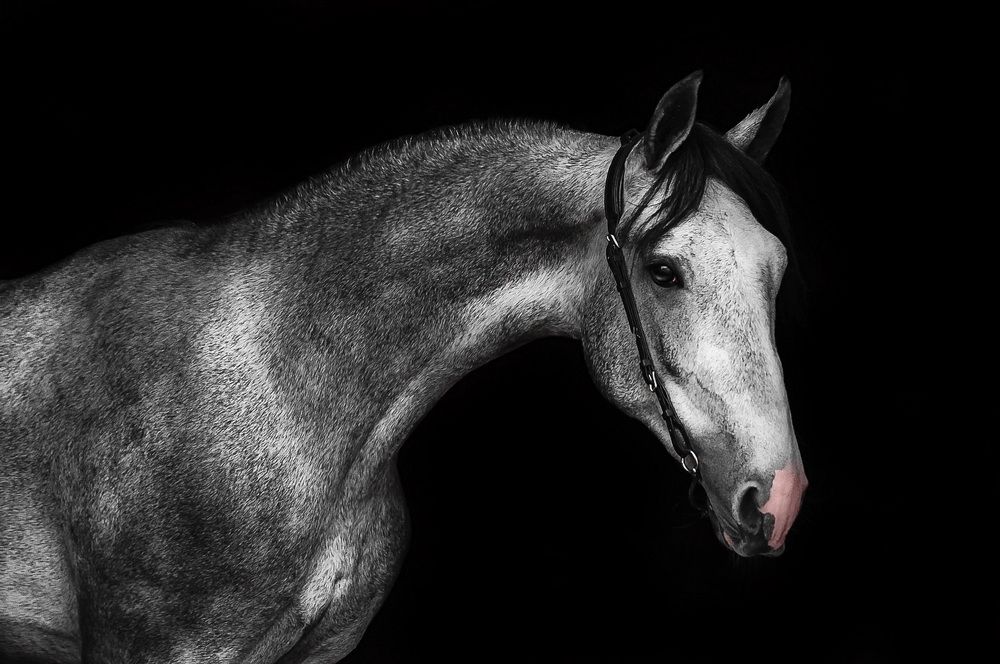 Photograph by Ульяна Майстренко