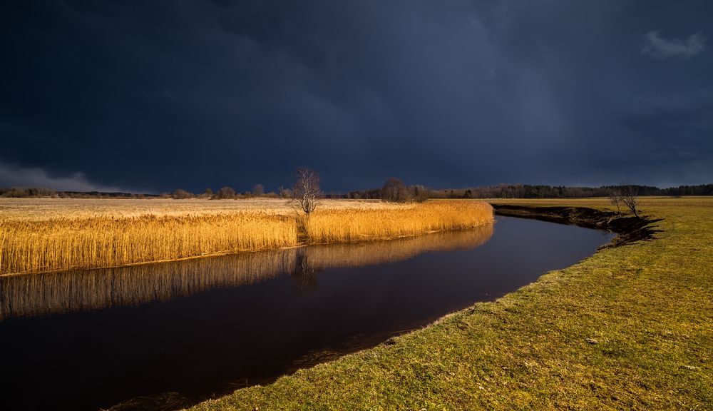 Photograph by Элвис Антсон