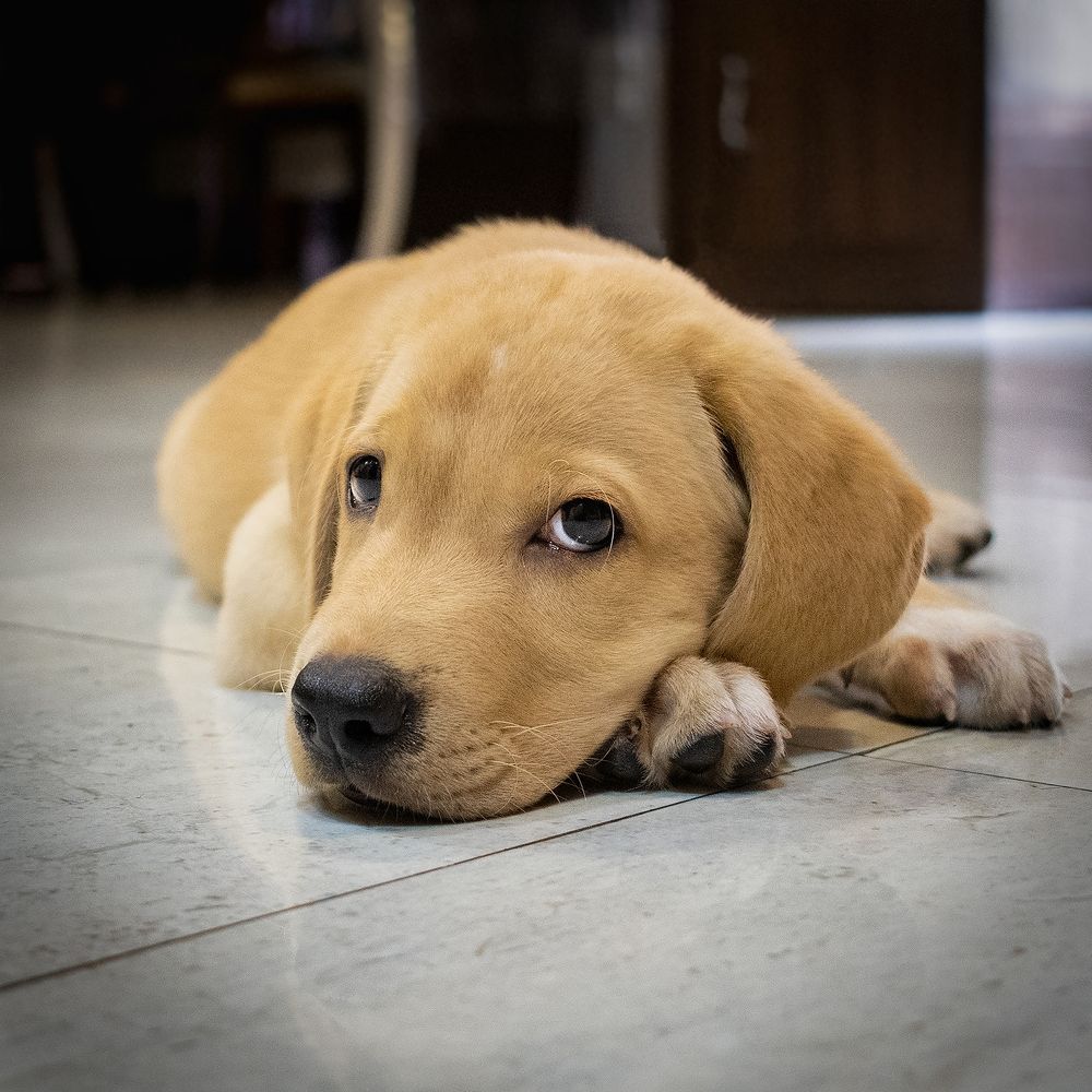 After a sumptuous Lunch !!!