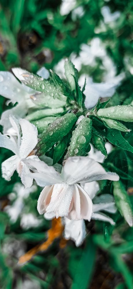 Photograph by Валентина Ильиных