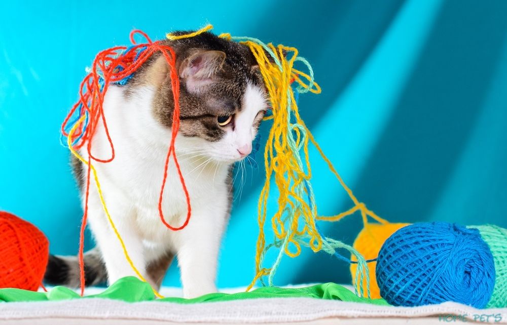 Photograph by Алексей Иванов