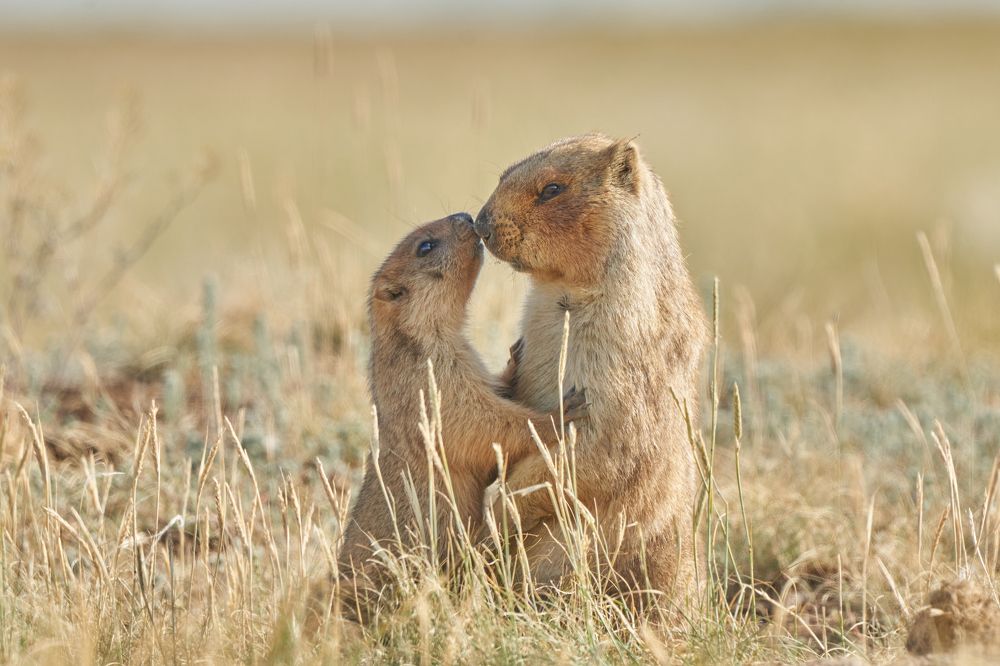 Photograph by Игорь Травкин