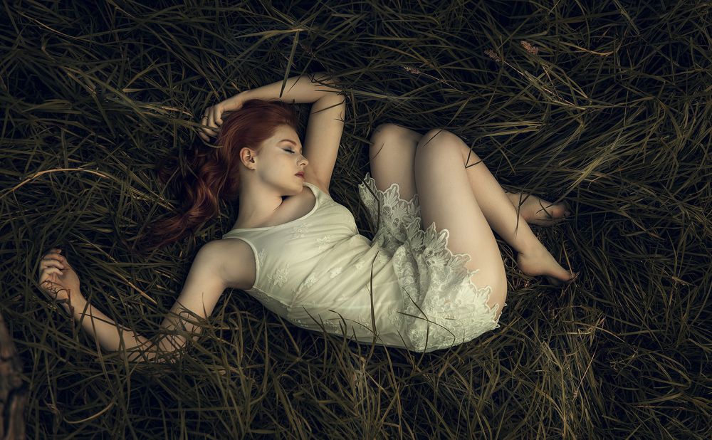 Фотография автора An La