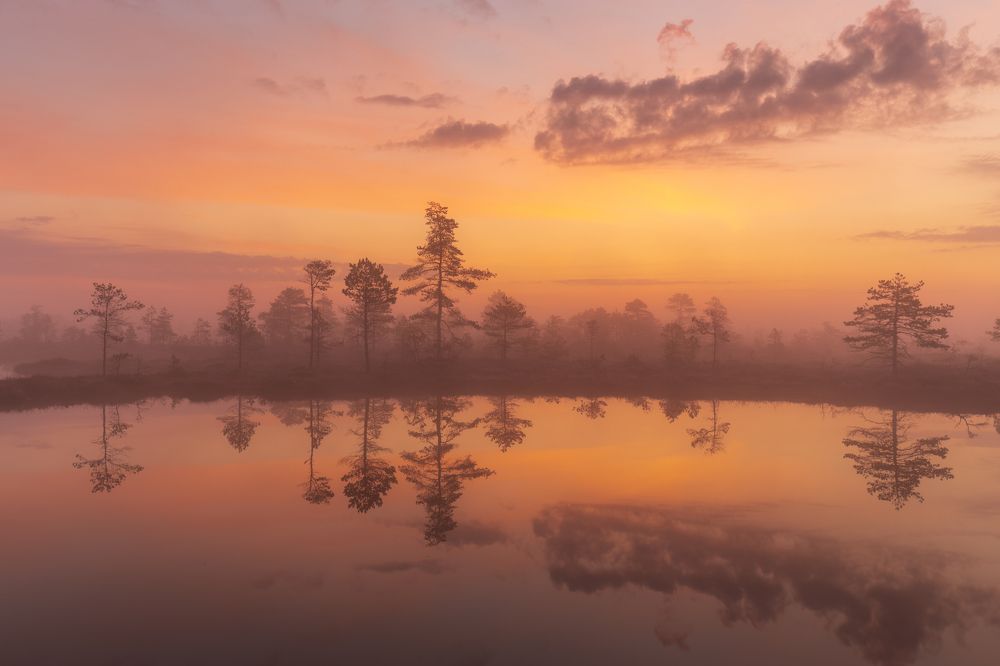 Photograph by Элвис Антсон