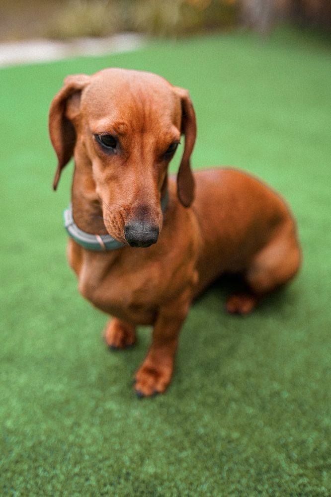 Photograph by Natali Aleksandrova