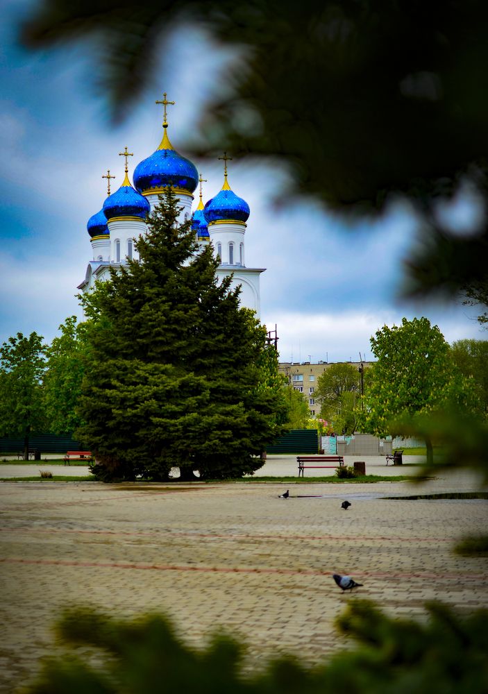 Photograph by Елена Фабрицкая