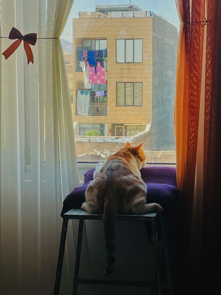 Photograph by samaneh jamali