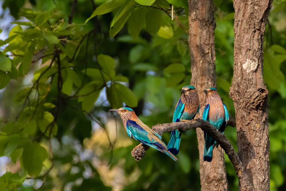 Look !!! Who's there