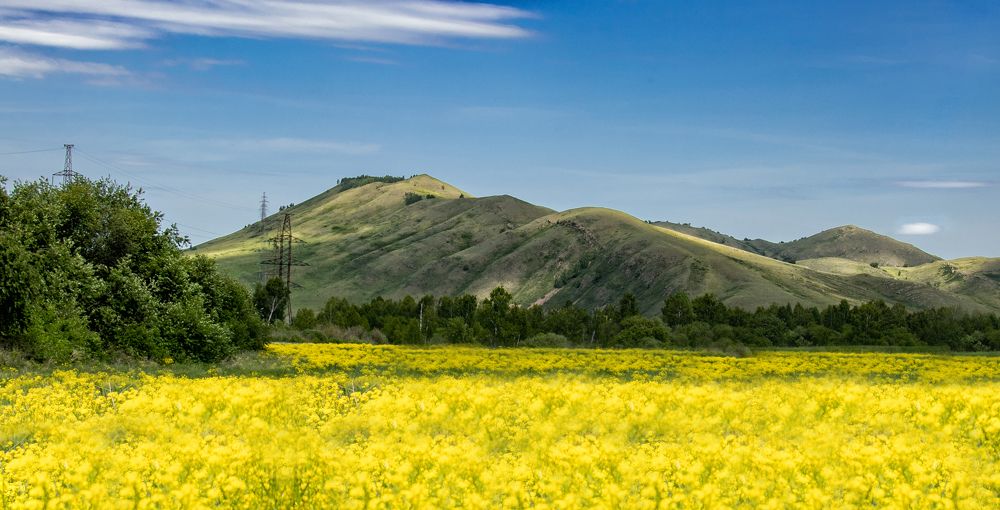 Photograph by Валерий Шорохов