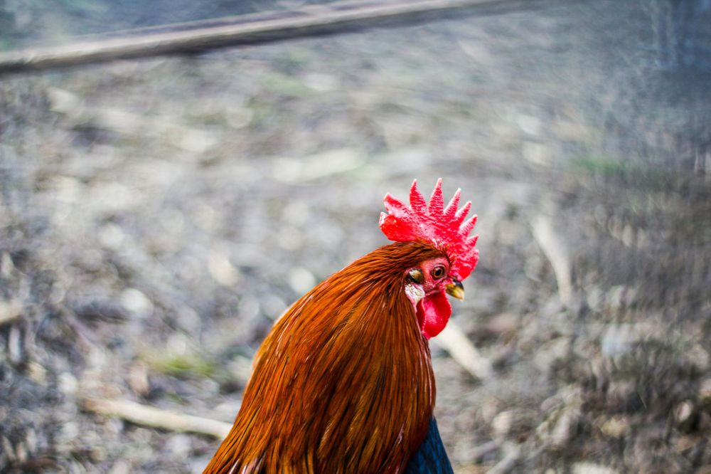 Photograph by Александр Варченко