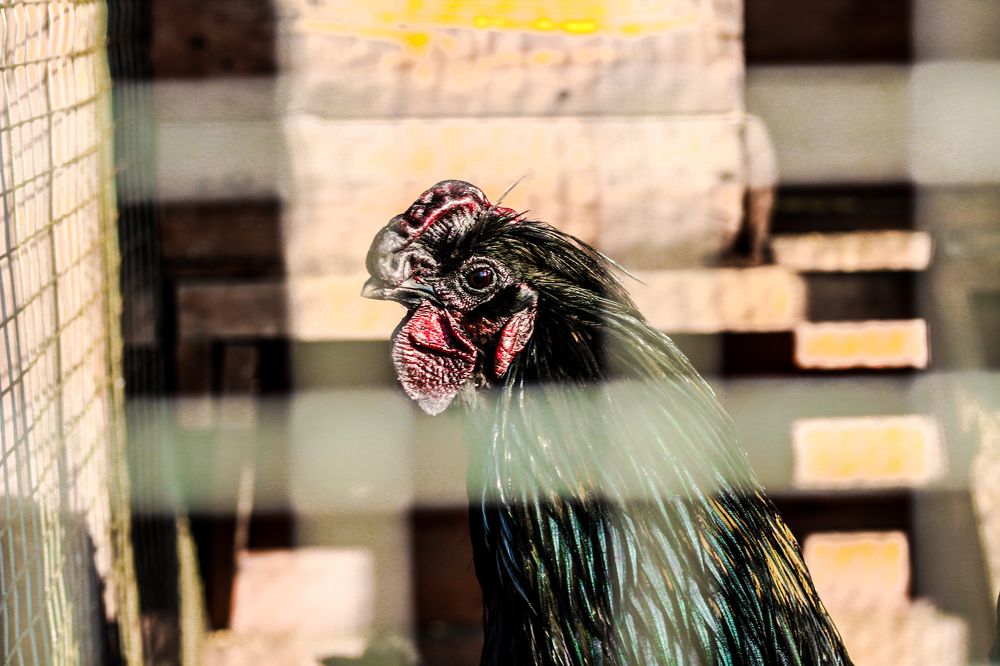 Photograph by Александр Варченко