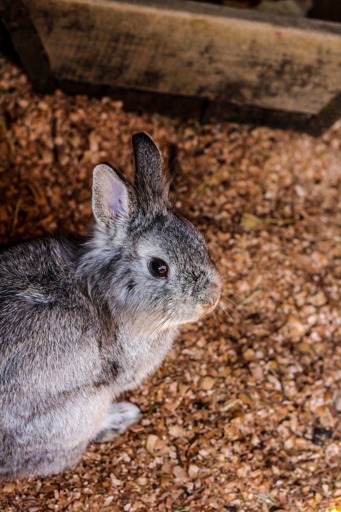 Photograph by Александр Варченко