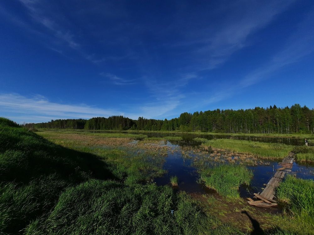 Photograph by Александр Зуев