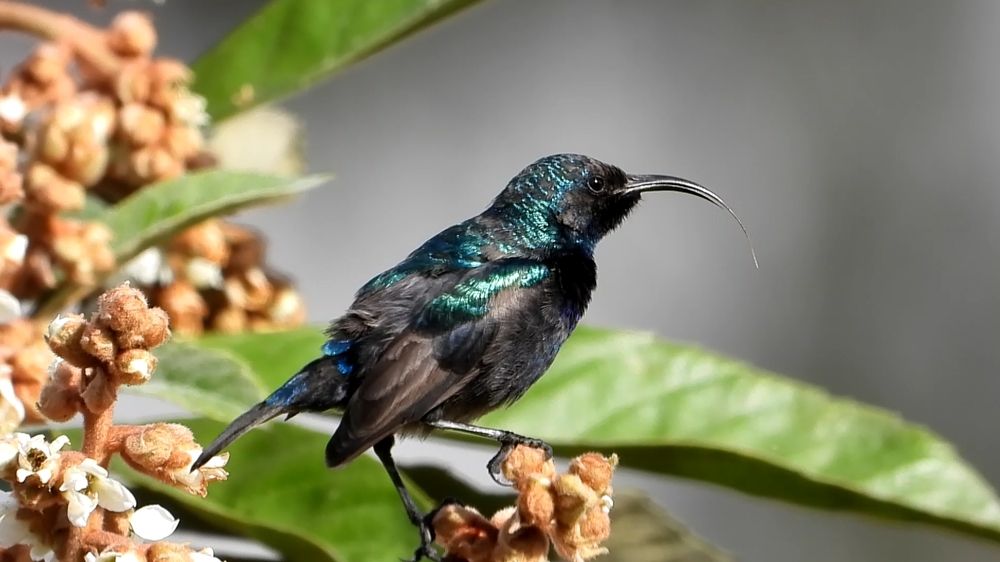 Фотография автора Fadi kassem