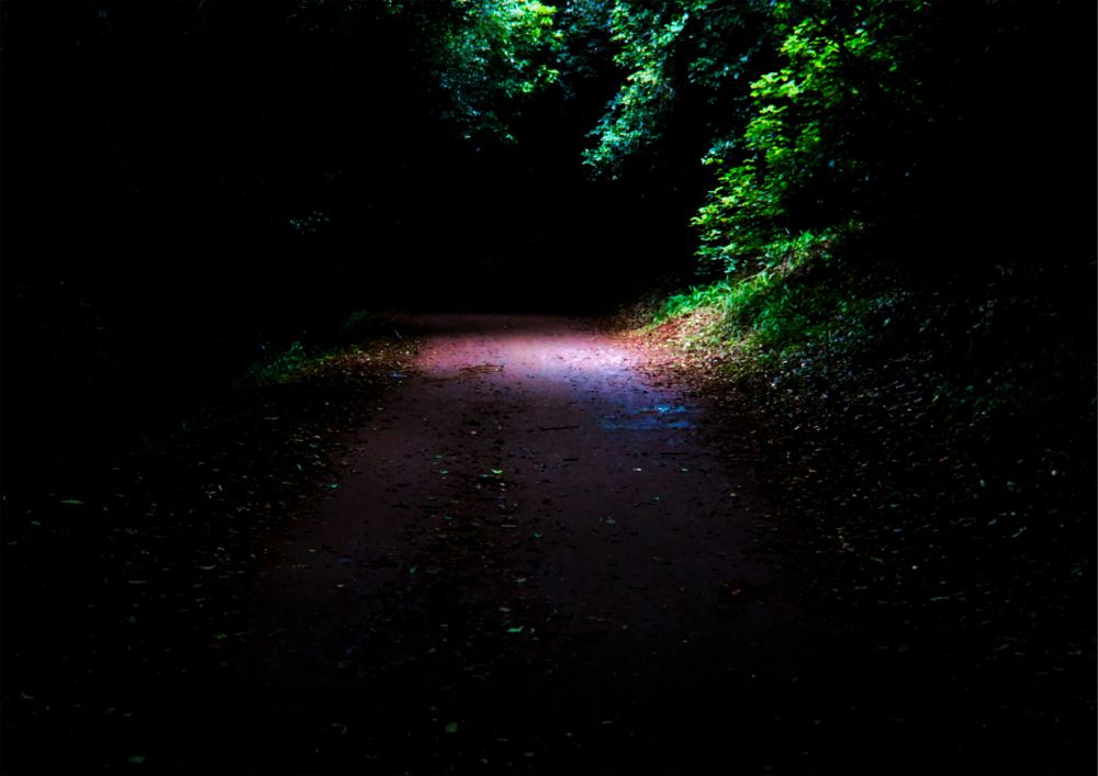 Photograph by V. Kimani