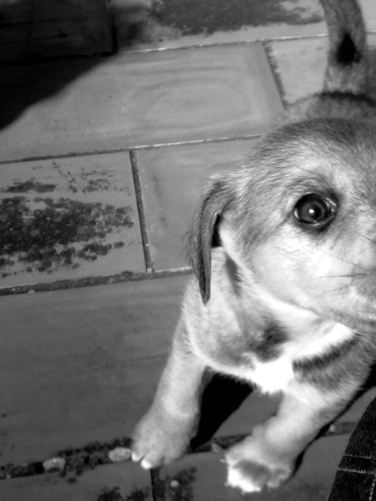 Photograph by Miguel Angel