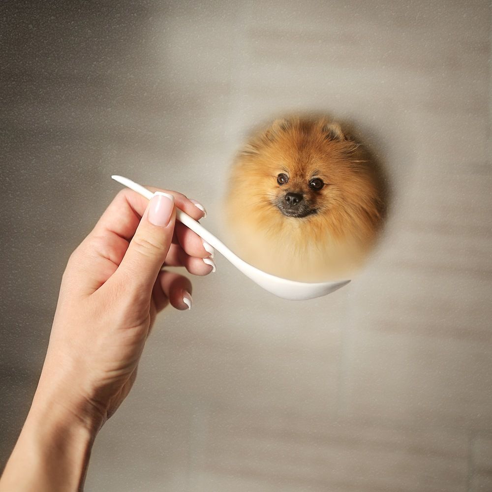 Photograph by Наташа Чипер