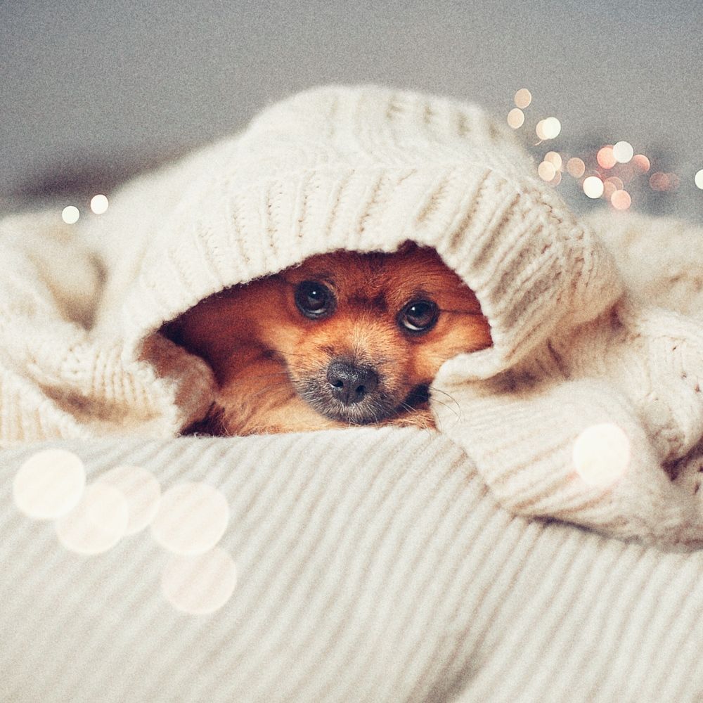 Photograph by Наташа Чипер