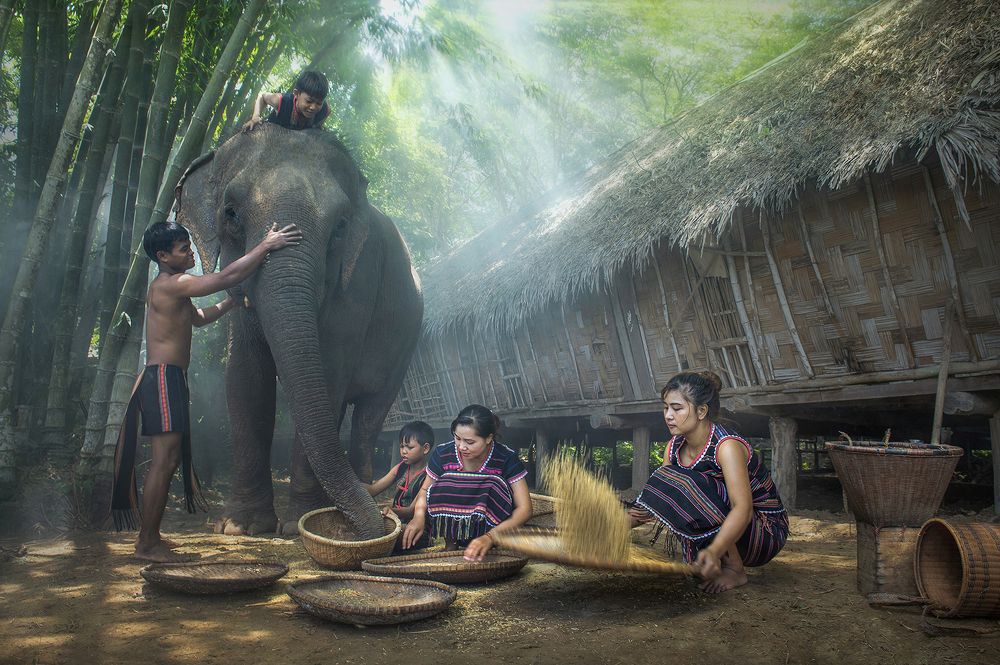 Photograph by Minh Phương Ngô