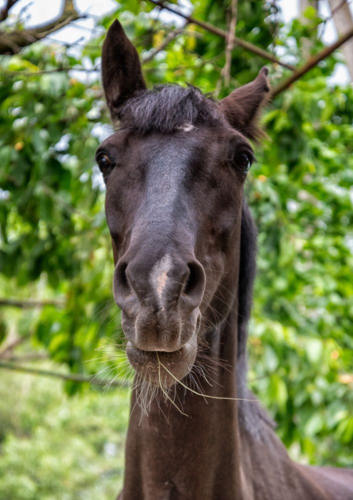 Photograph by Владимир Кваша