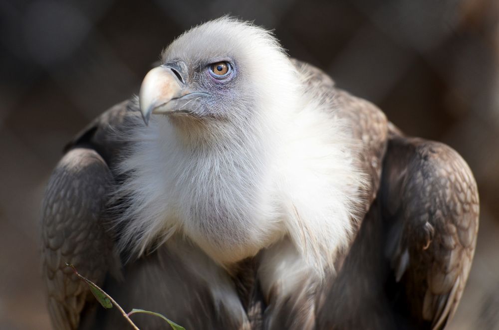 Photograph by Ehab Magdy