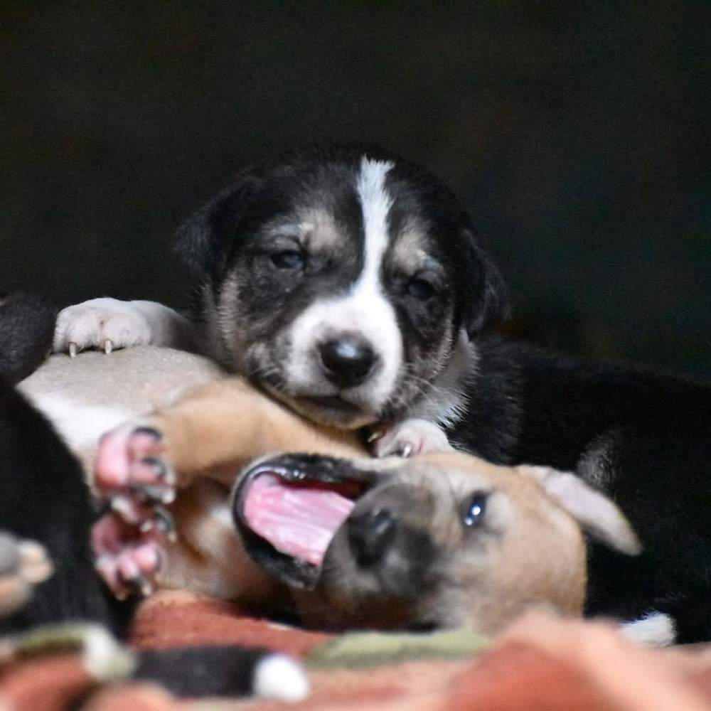 Photograph by Satarupa Mukherjee