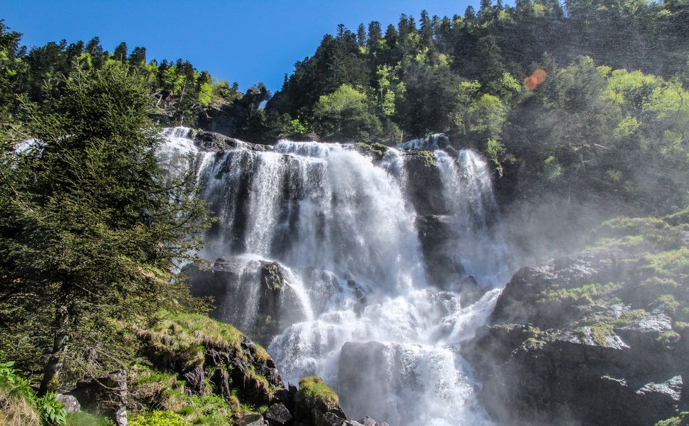 Фотография автора vanessa elbin