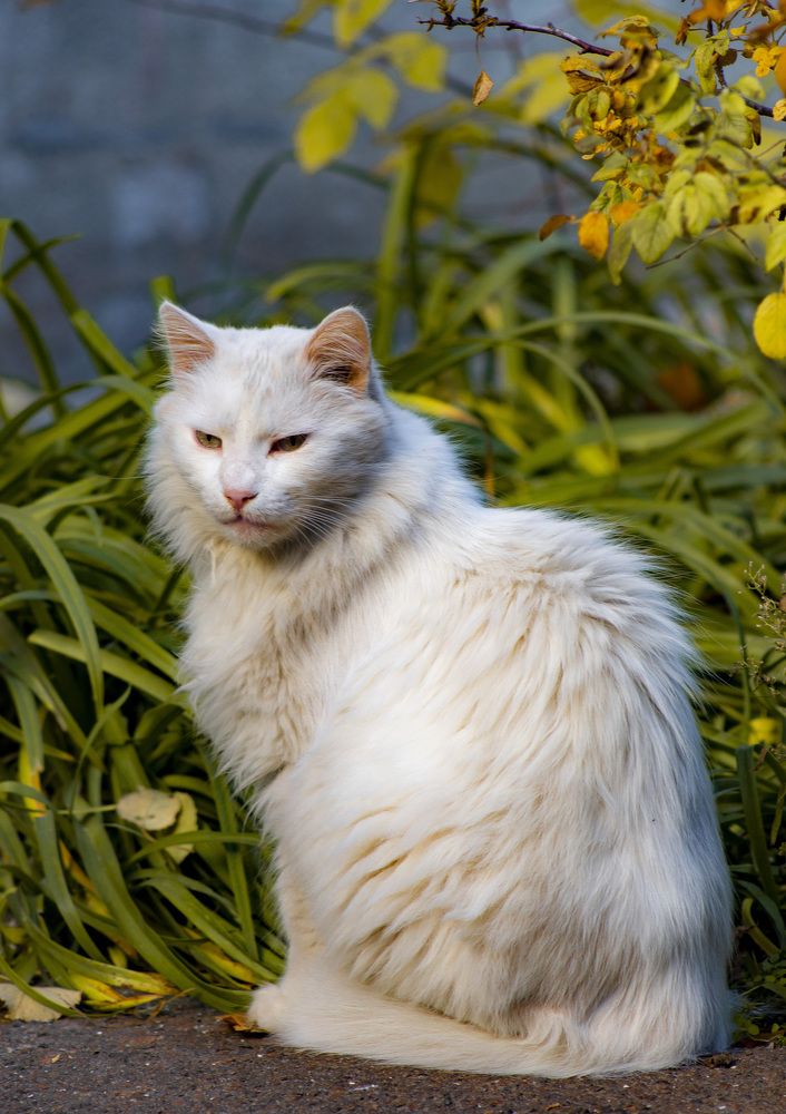 Photograph by Виктория Гунько