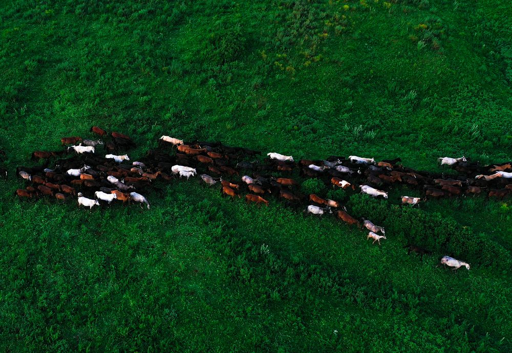 Photograph by Ahmed Magdy