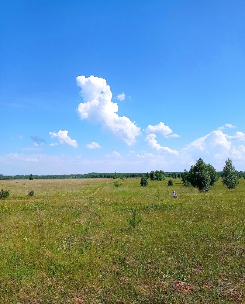 Photograph by Анастасия Шатунова
