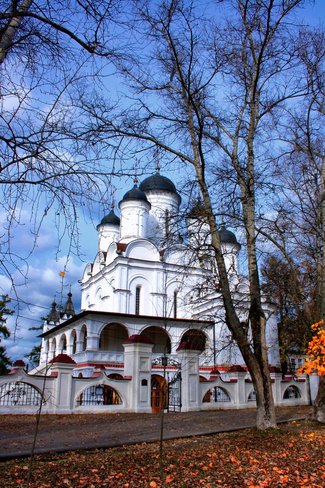 Church of the Transfiguration of the village of Bolshiye Vyazemy