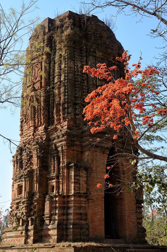 Photograph by Kaushik Dolui