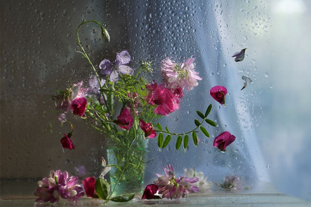 Настроение лета.