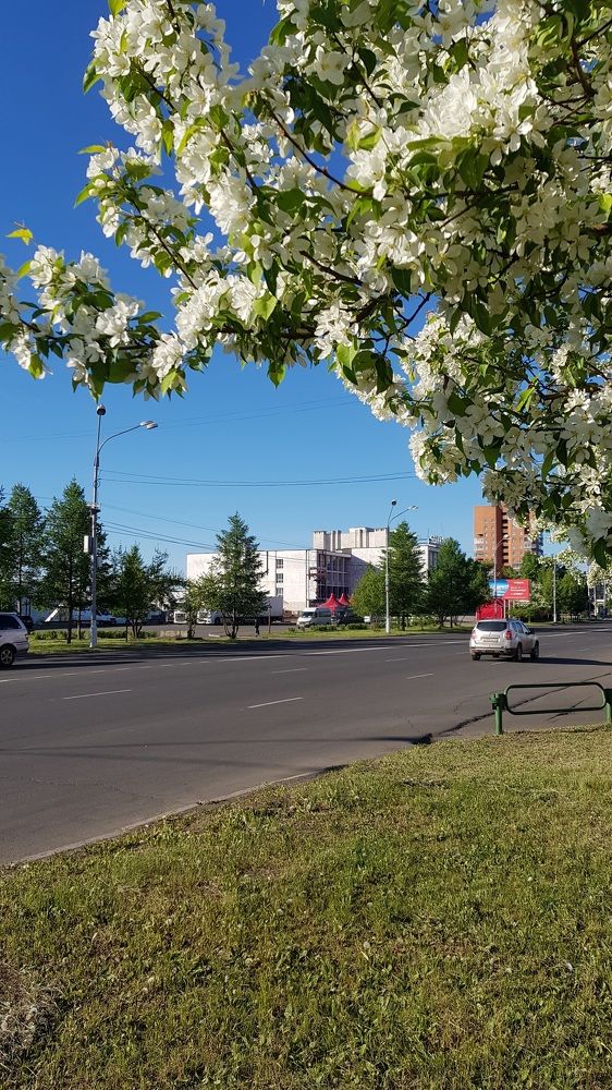 Весна в городе.